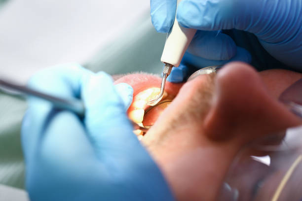 Best Emergency Dentist for Special Needs Patients in Secy, AR